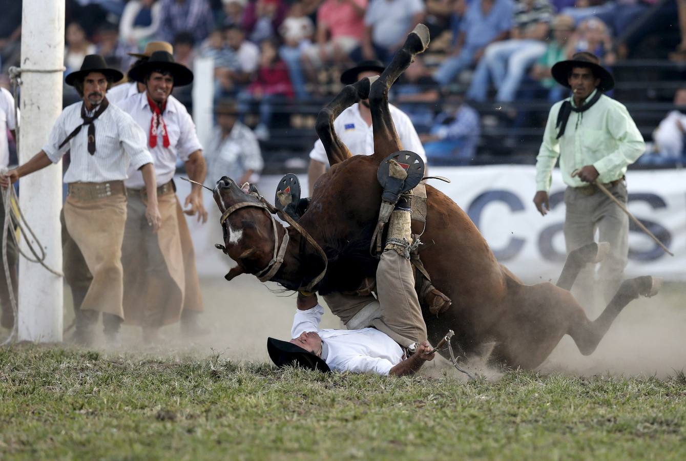 Las espectaculares imágenes de la fiesta de los gauchos