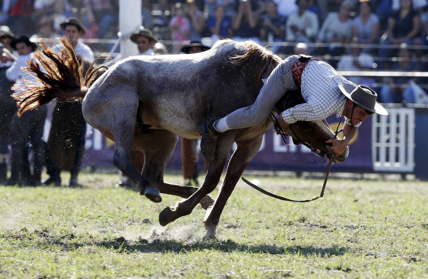 Las espectaculares imágenes de la fiesta de los gauchos