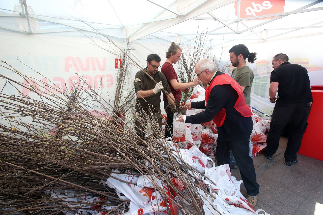 Los niños de Oviedo se comprometen a plantar cerezos