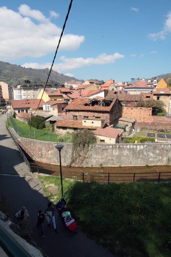 Los problemas de Requejo