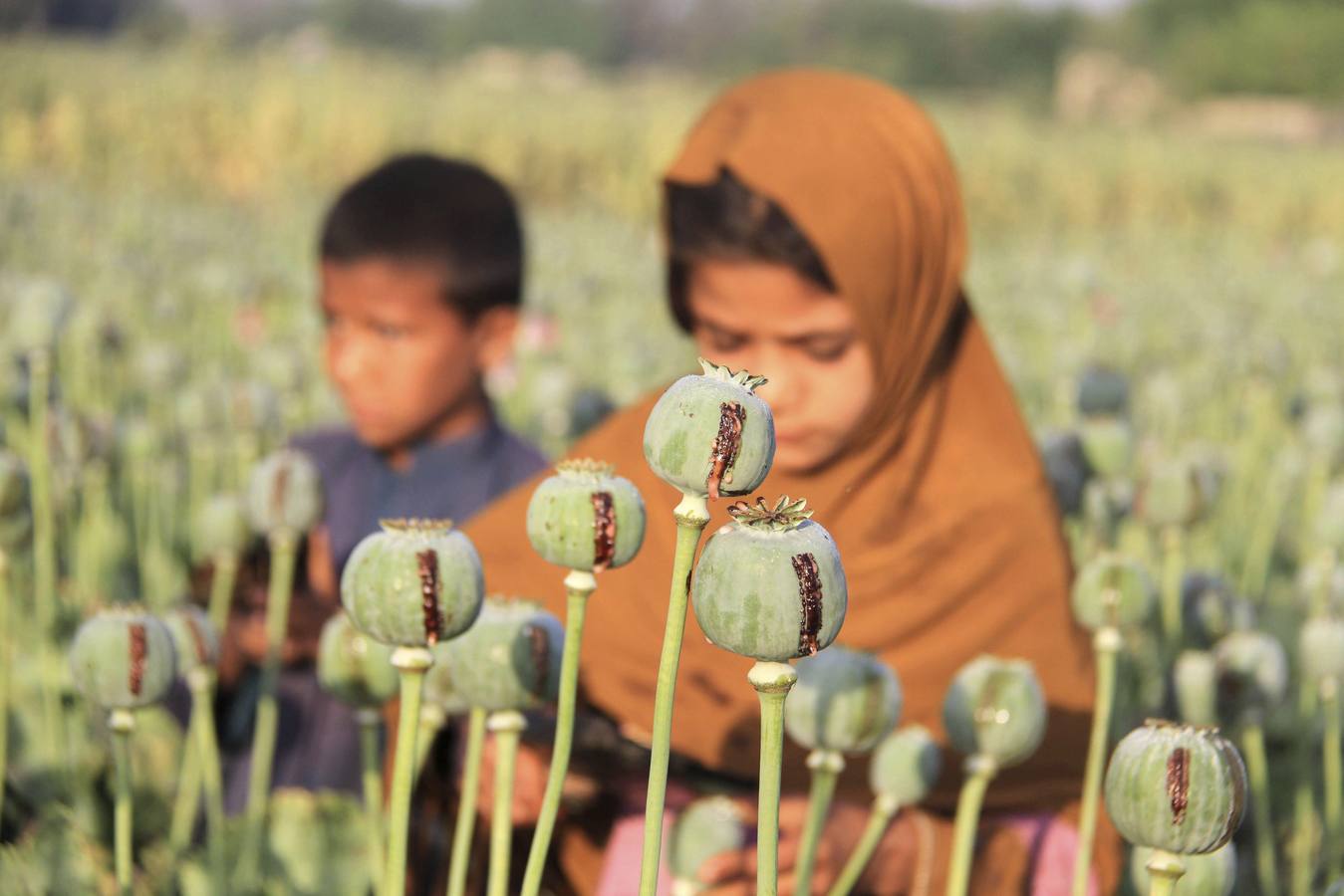 Los niños del opio de Afganistán