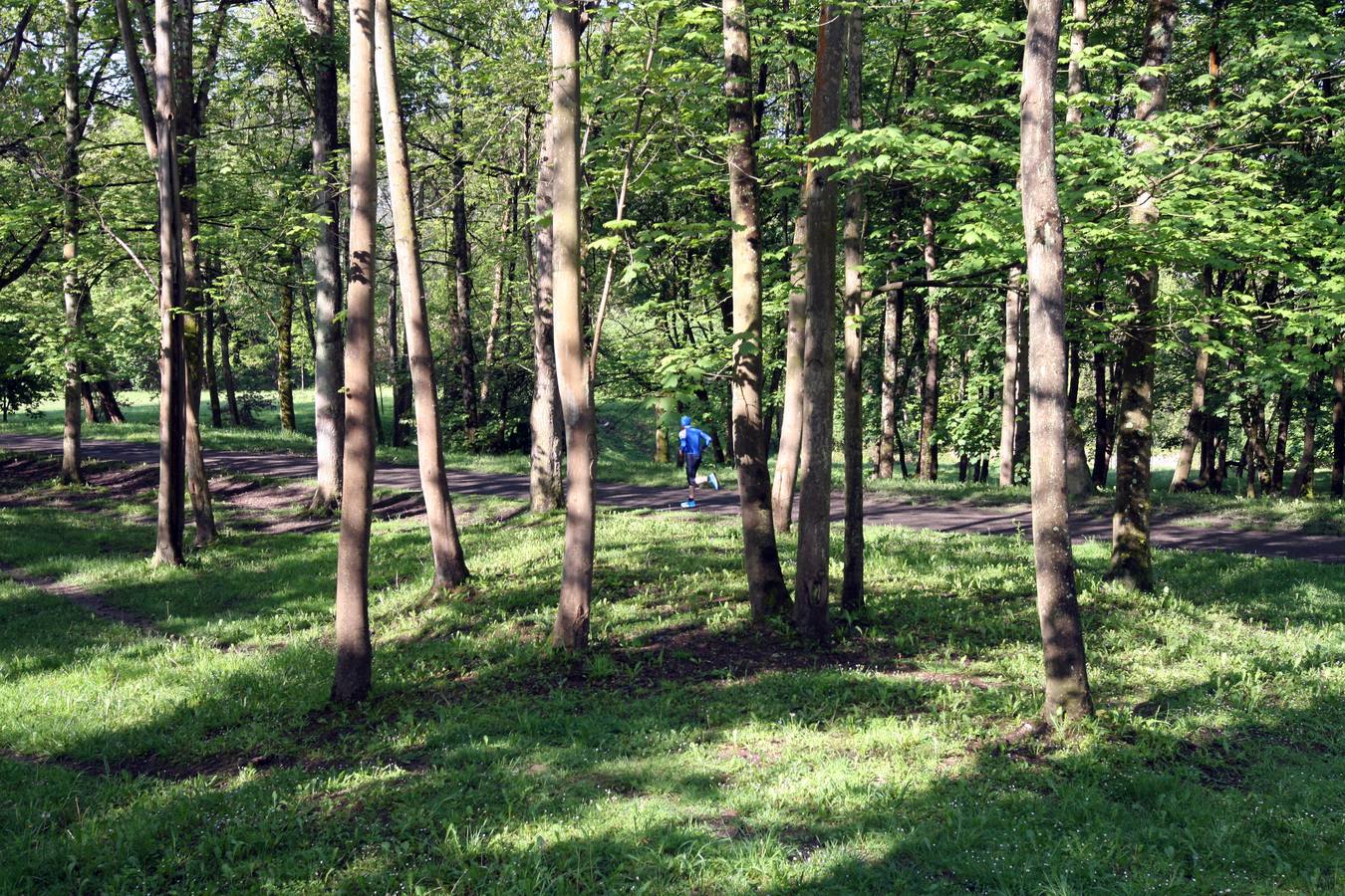 La Acebera, la mayor finca de uso público del centro de Asturias