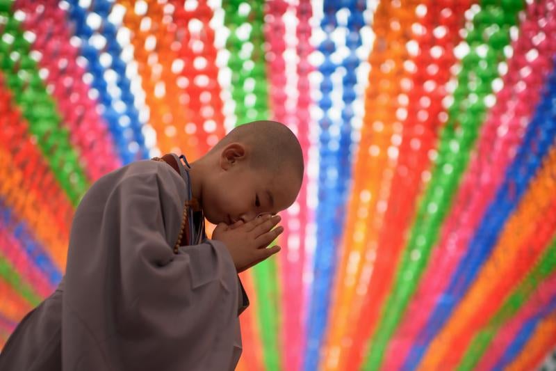 Pequeños monjes budistas durante dos semanas