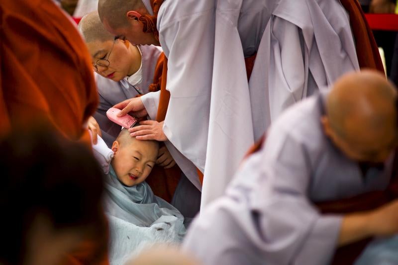 Pequeños monjes budistas durante dos semanas