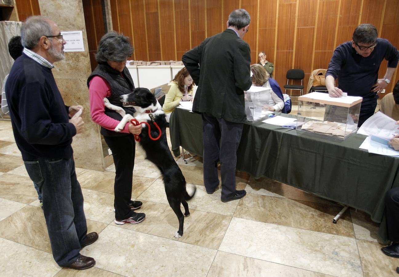 Votando con el perro.