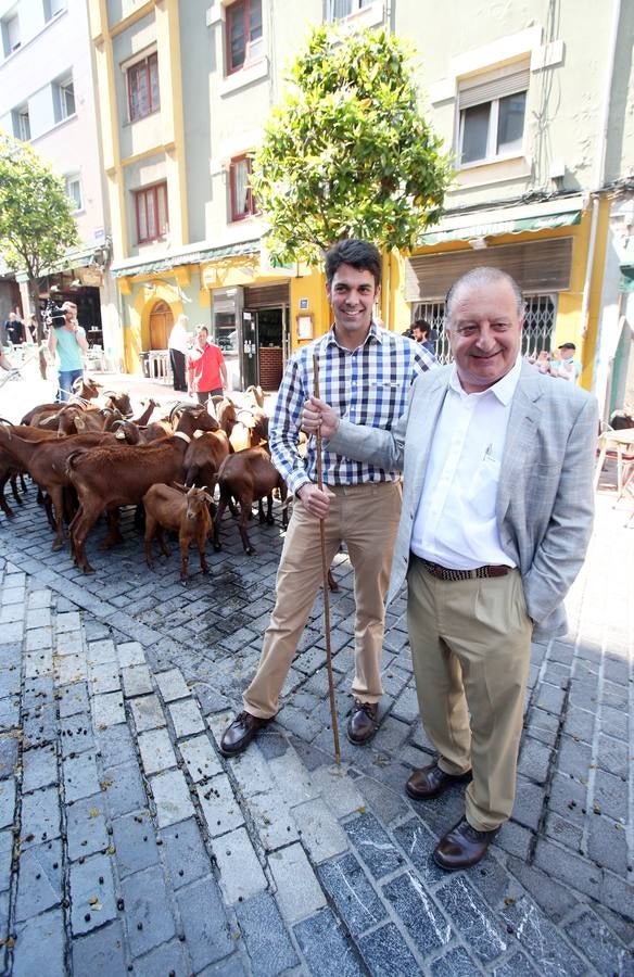 Las cabras toman Gascona