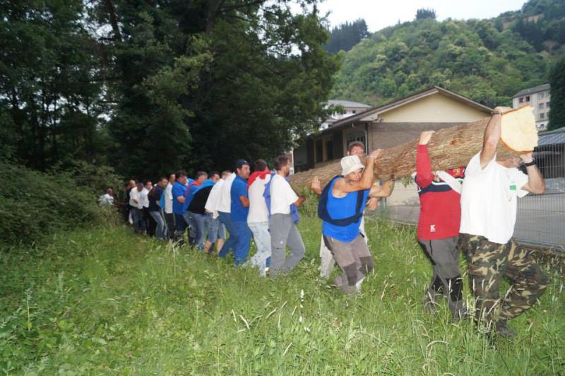 Cangas del Narcea vive la &#039;fiesta del Arbolón&#039;