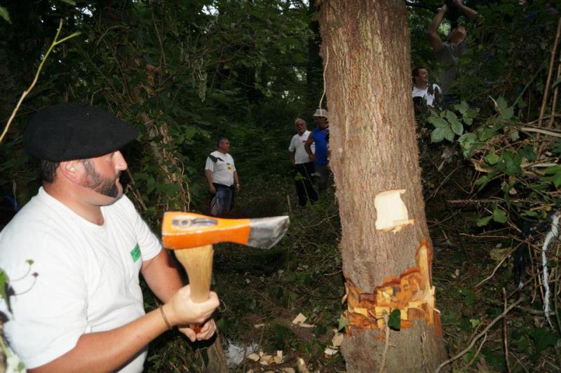 Cangas del Narcea vive la &#039;fiesta del Arbolón&#039;