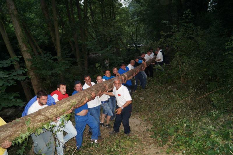 Cangas del Narcea vive la &#039;fiesta del Arbolón&#039;