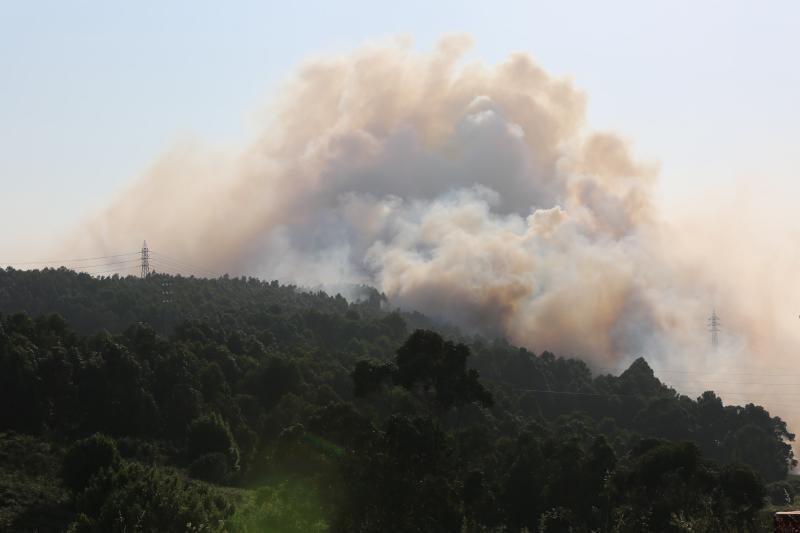 Incendio en Avilés cerca de las instalaciones de Alcoa