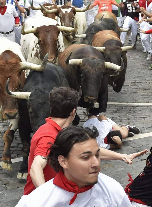 Mosos corriendo y protegiéndose de los toros.