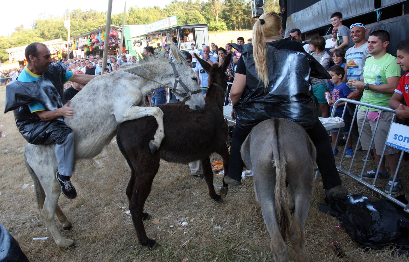 Callao disfruta de la carrera con burros