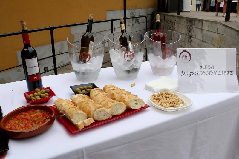 I Jornadas de Difusión de la Cultura del Vino de la Denominación de Origen La Mancha