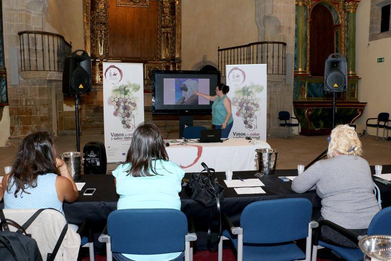 I Jornadas de Difusión de la Cultura del Vino de la Denominación de Origen La Mancha