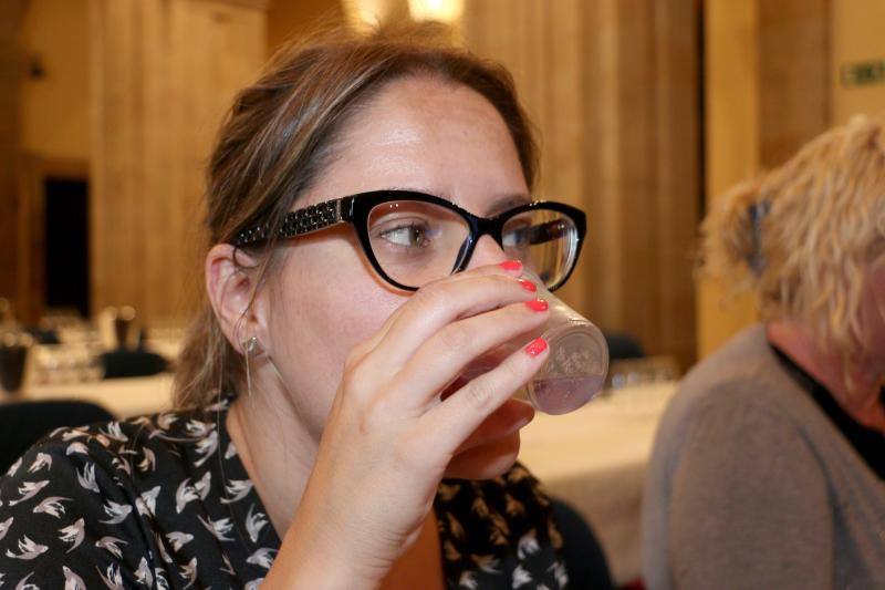 I Jornadas de Difusión de la Cultura del Vino de la Denominación de Origen La Mancha