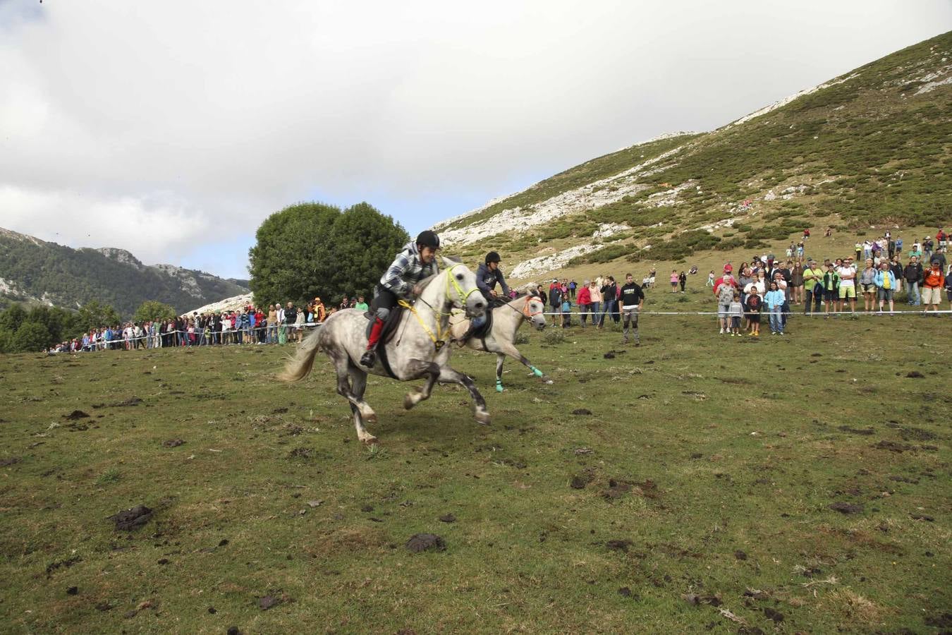 La Fiesta del Pastor, en la Vega del Enol (I)