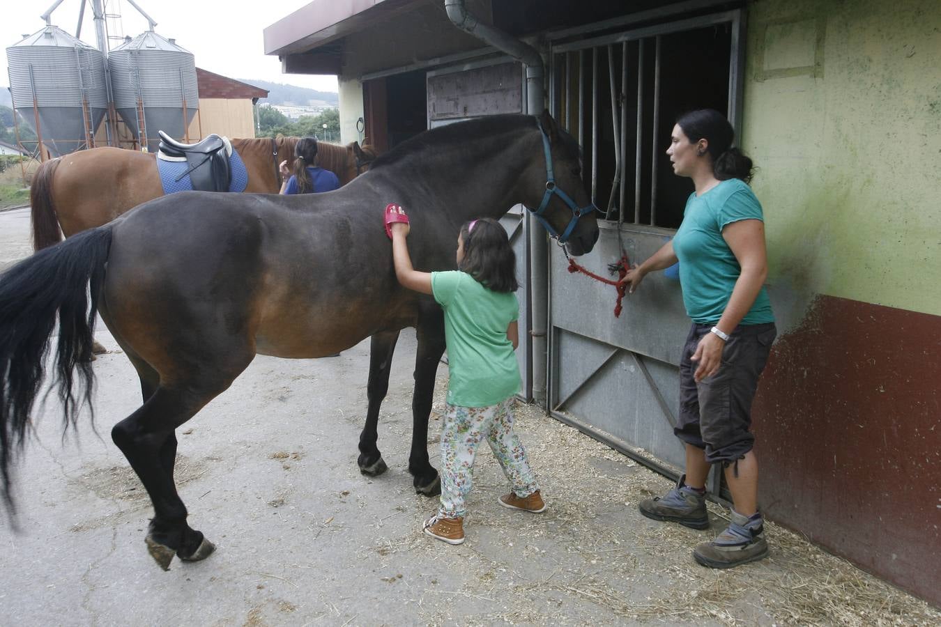Hipoterapia en El Asturcón