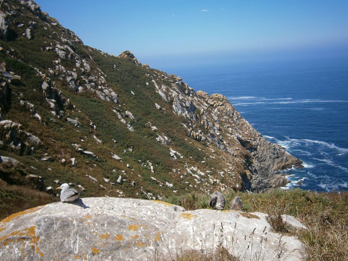 Las islas Cíes, paraíso caribeño en el Atlántico gallego
