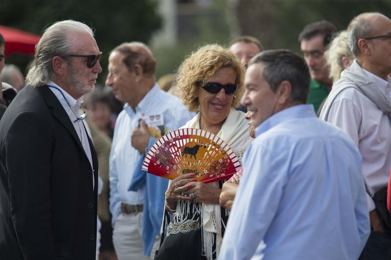 Manifestación antitaurina por las calles de Gijón