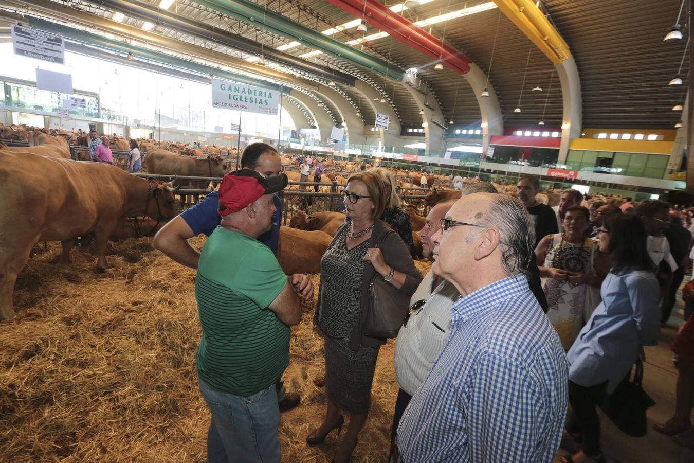 Más que vacas y toros en el Concurso de Ganado de San Agustín