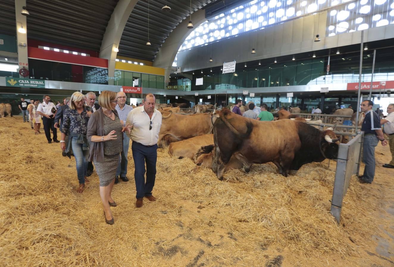 Más que vacas y toros en el Concurso de Ganado de San Agustín