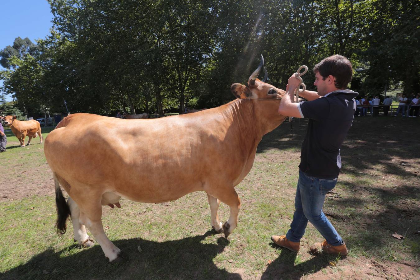 Más que vacas y toros en el Concurso de Ganado de San Agustín