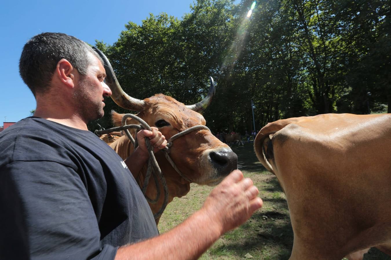 Más que vacas y toros en el Concurso de Ganado de San Agustín