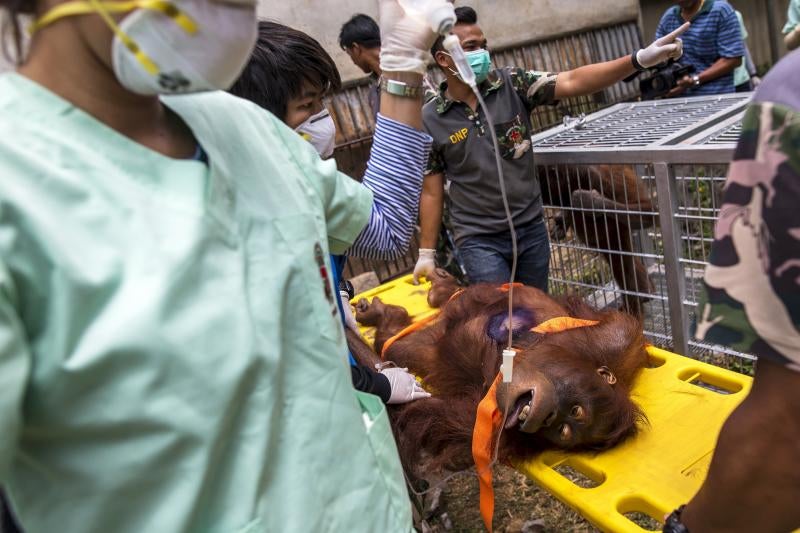 Al médico antes de volver a casa