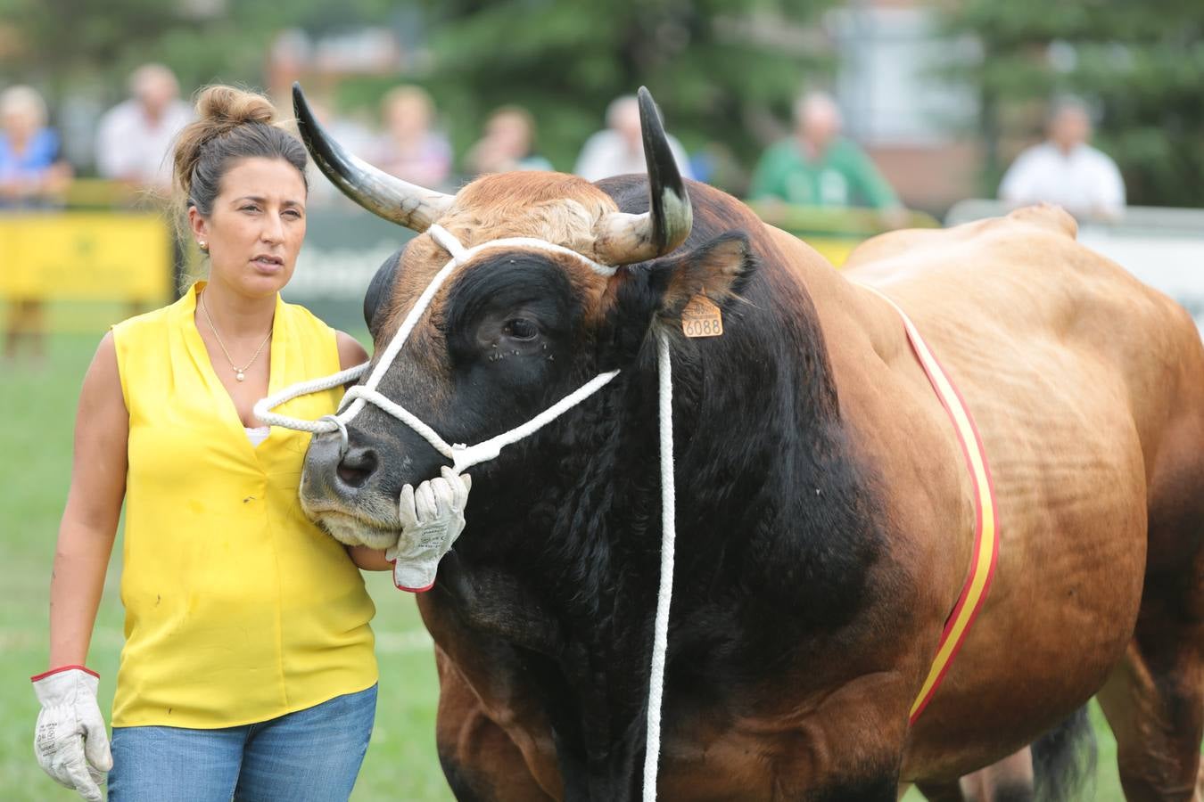 El Certamen de Ganado de San Agustín echa el cierre