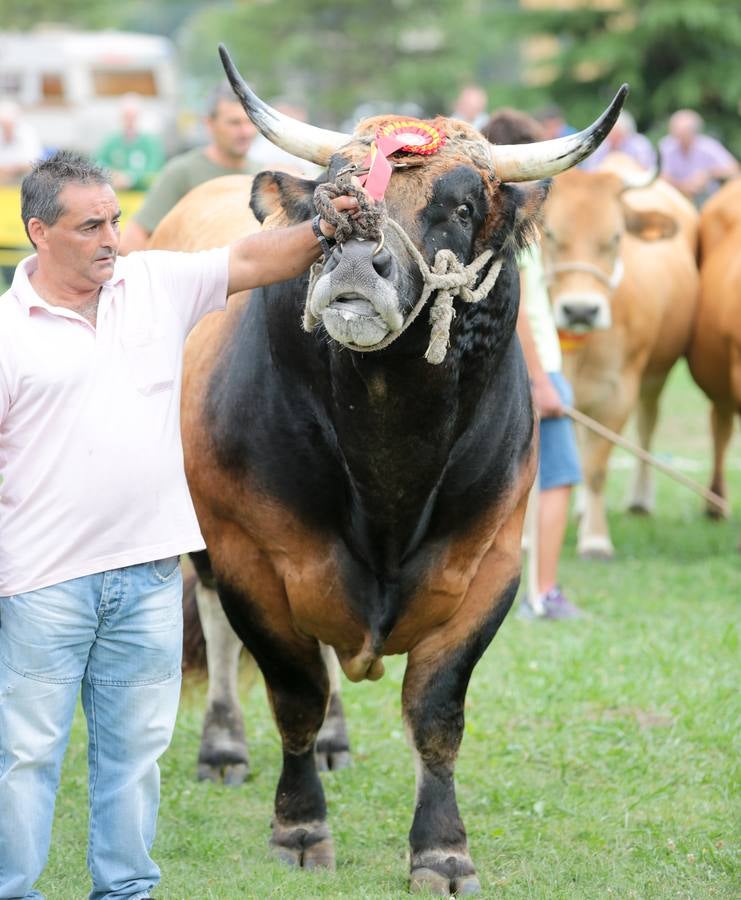 El Certamen de Ganado de San Agustín echa el cierre