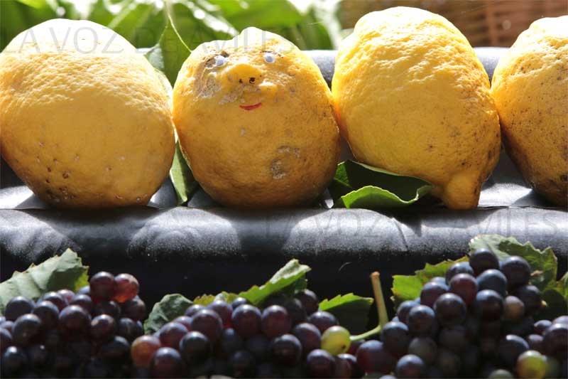 Exposición regional de frutas, flores y Plantas en Pravia