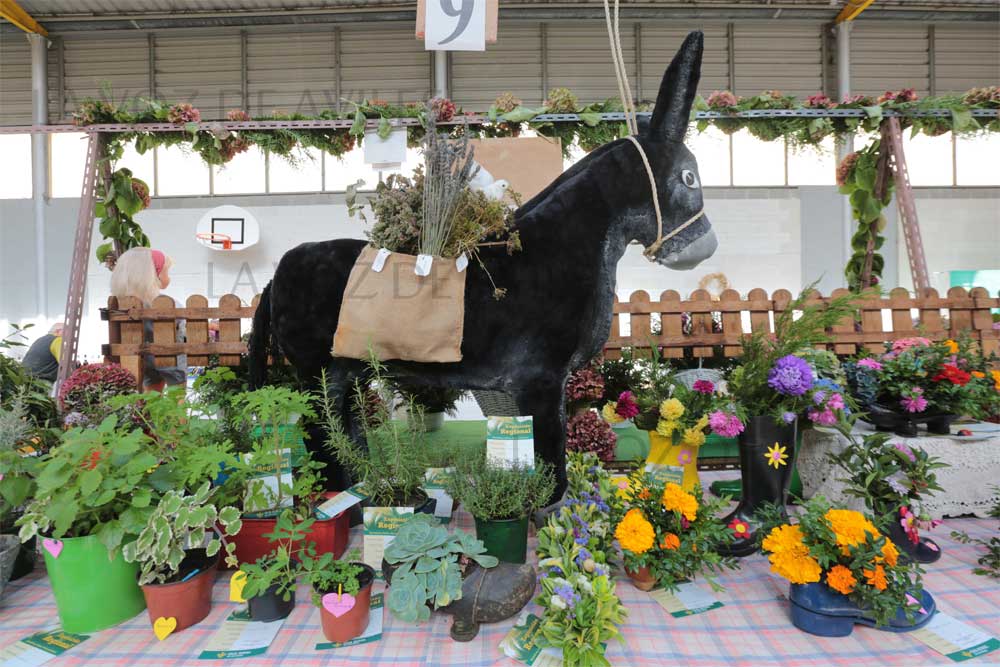 Exposición regional de frutas, flores y Plantas en Pravia