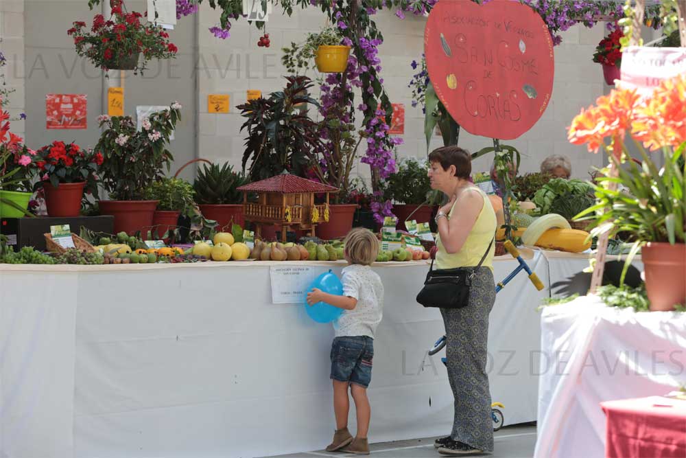 Exposición regional de frutas, flores y Plantas en Pravia