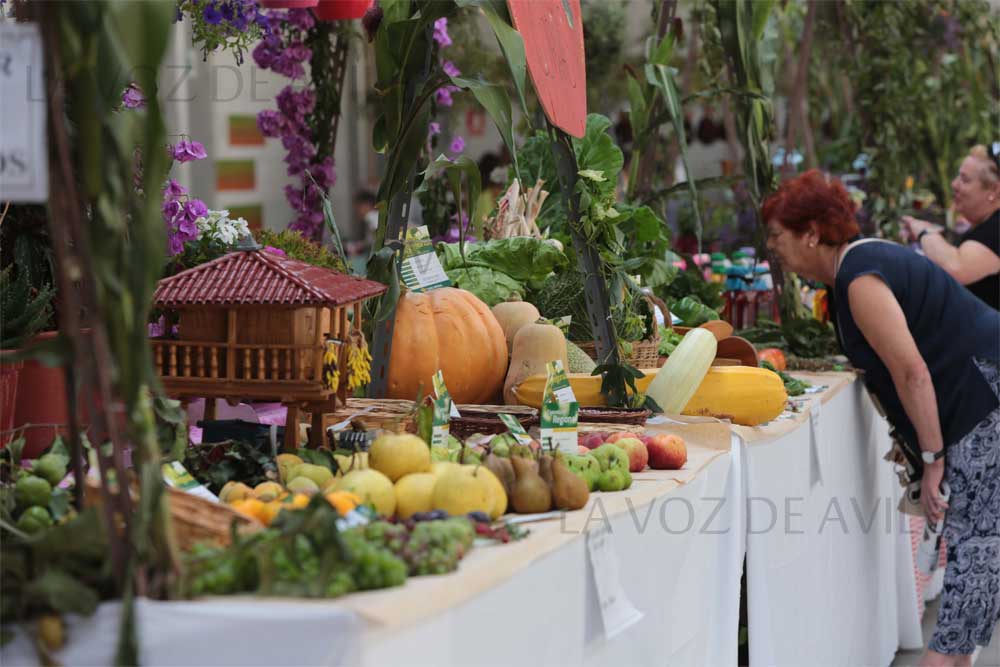 Exposición regional de frutas, flores y Plantas en Pravia