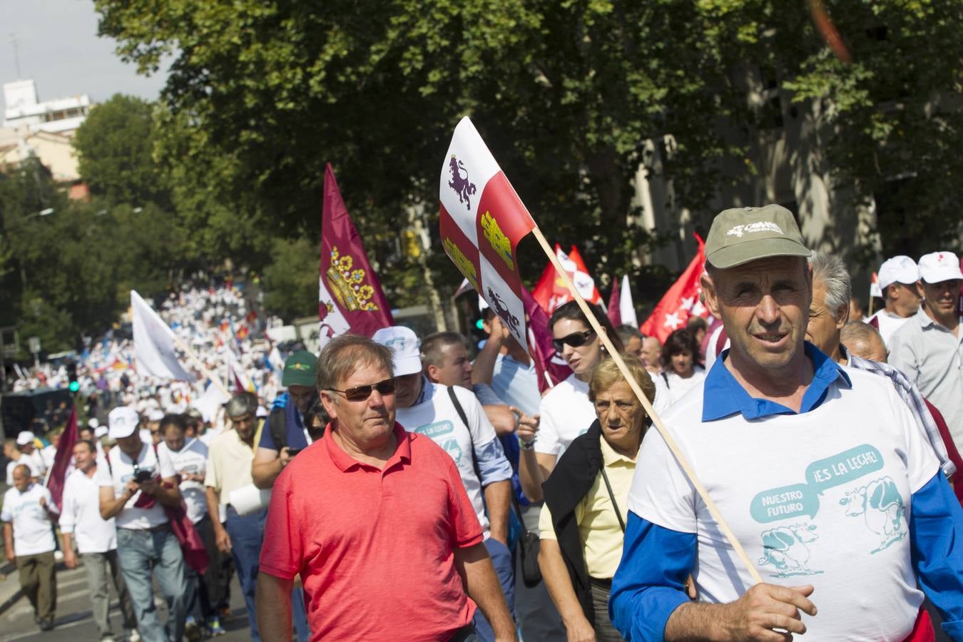 Marcha blanca por el futuro del sector lácteo