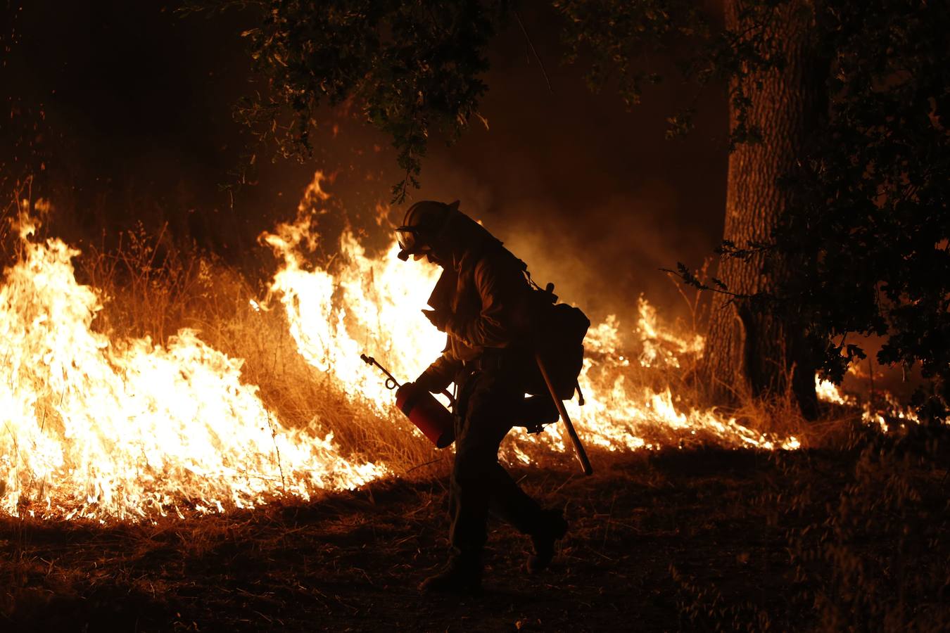 Cientos de casas de California arrasadas por un incendio