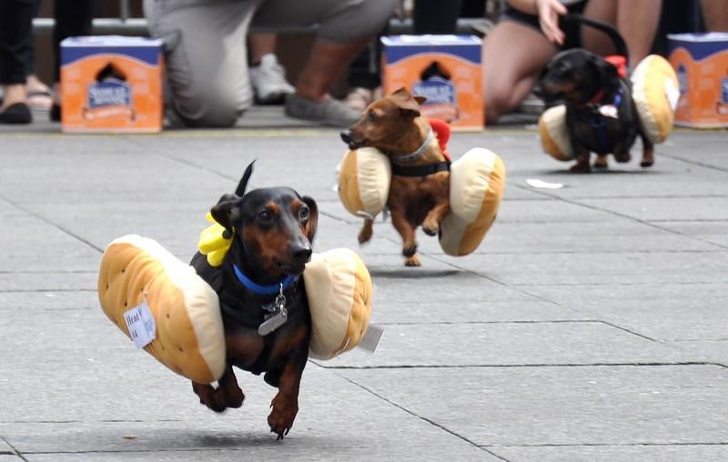 Pistoletazo de salida al Oktoberfest