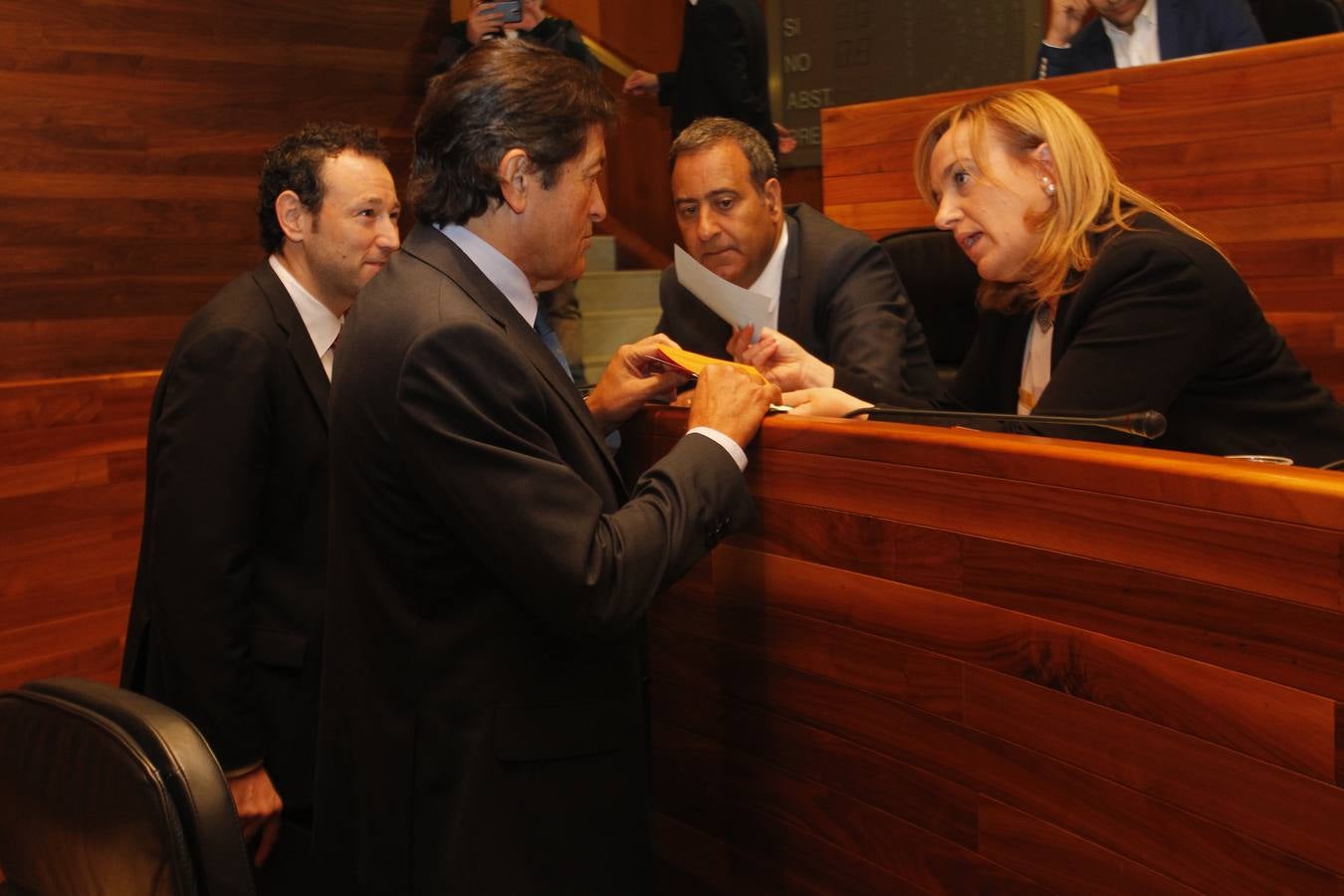 Primer pleno de la legislatura