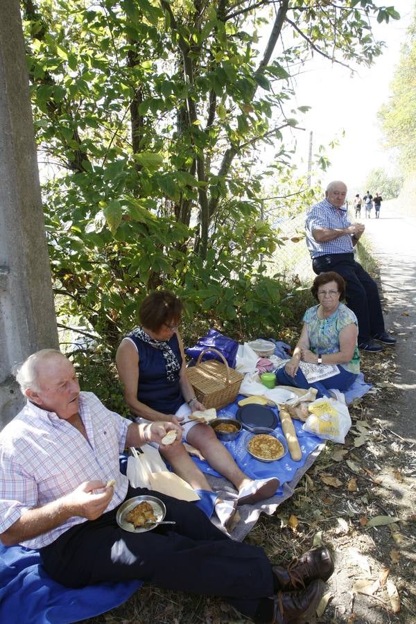 Romería de los Santos Mártires de Insierto