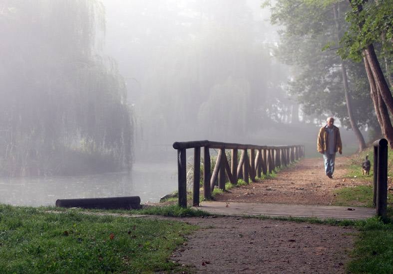 La Acebera, en Lugones. Selección de imágenes de los fotógrafos de EL COMERCIO.