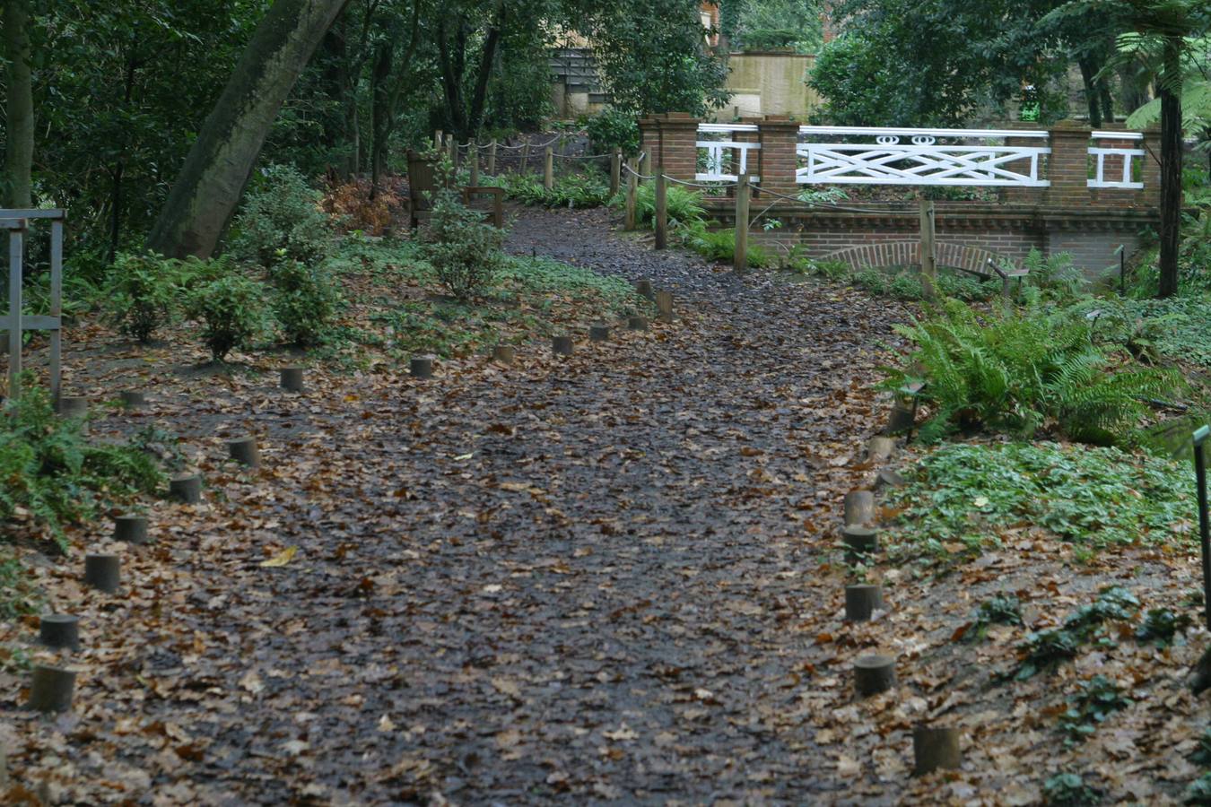 Jardín Botánico de Gijón. Selección de imágenes de los fotógrafos de EL COMERCIO.