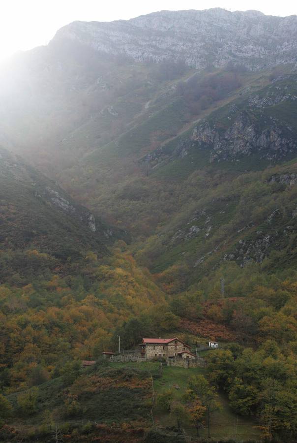 Parque Natural de Redes. Selección de imágenes de los fotógrafos de EL COMERCIO.