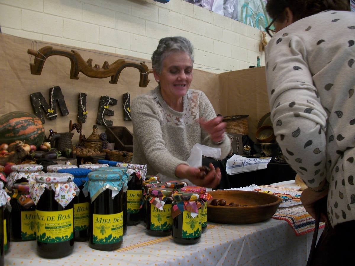 XXIX edición de la Feria de la Miel de Boal