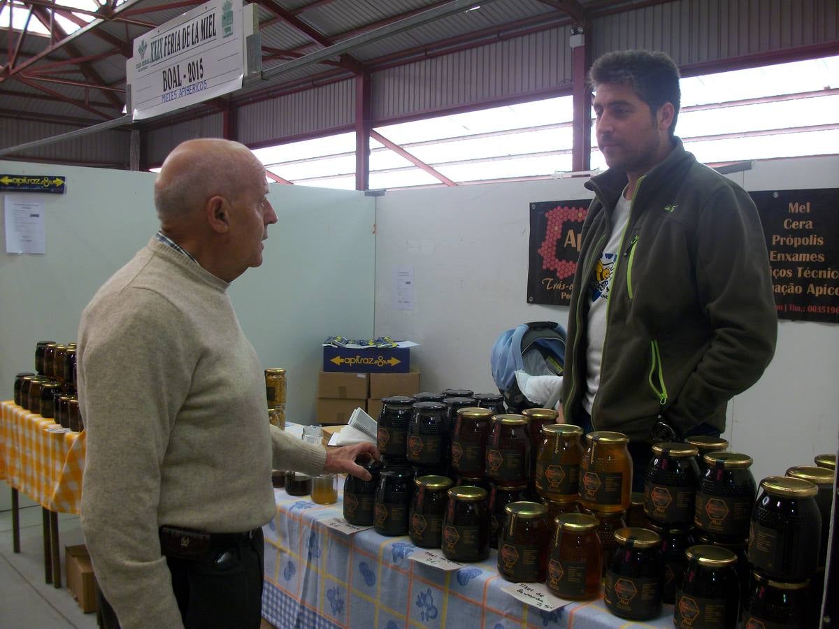 XXIX edición de la Feria de la Miel de Boal