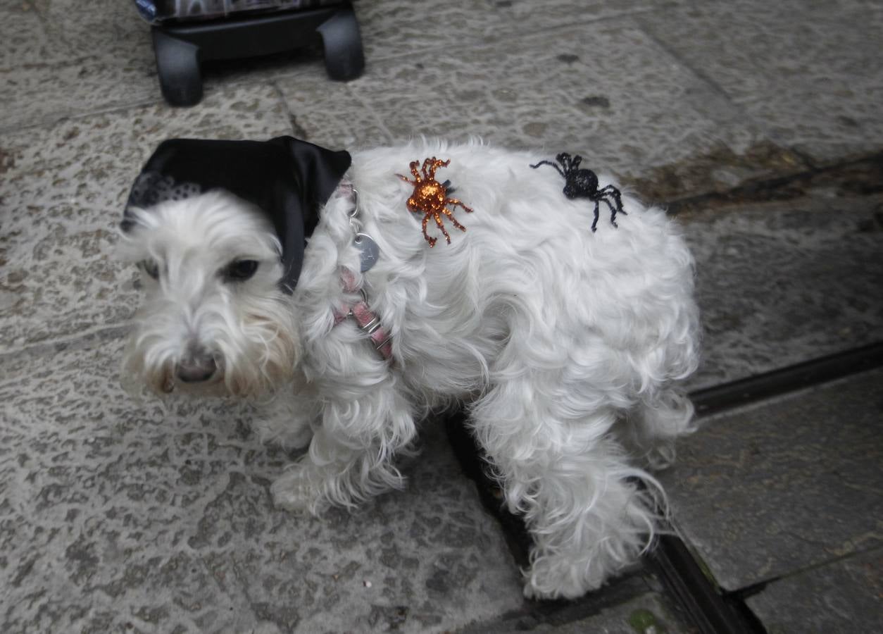 ‘Truco o trato’ en la plaza de El Fontán