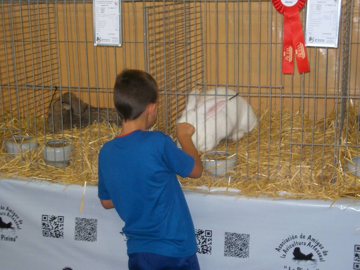 XII Exposición Internacional de Avicultura en Vegadeo