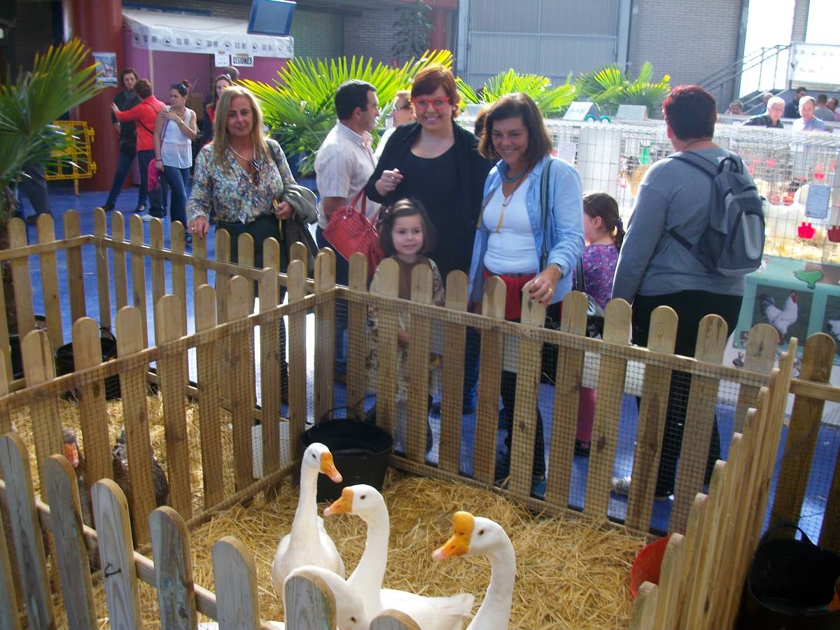 XII Exposición Internacional de Avicultura en Vegadeo