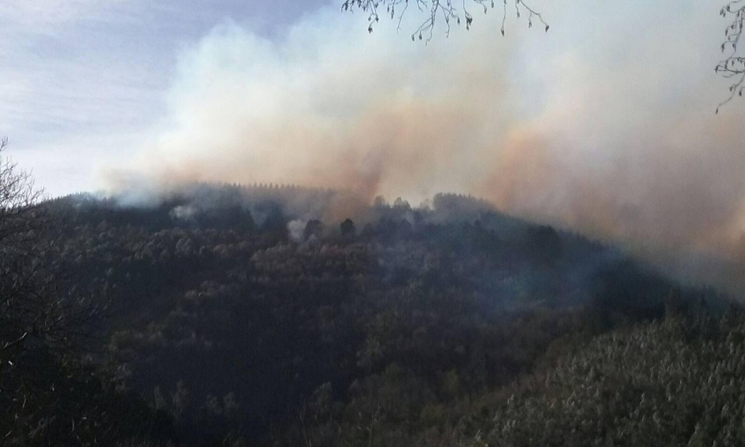 Incendios forestales en Asturias