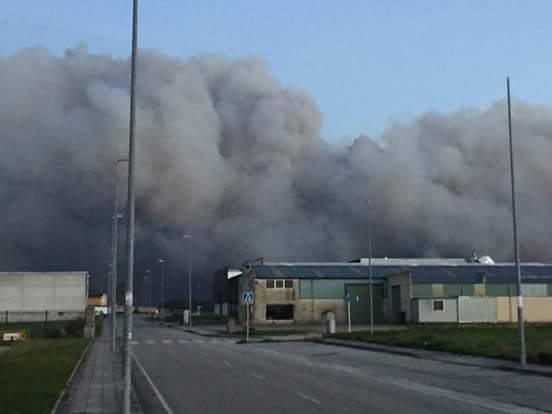 Incendios forestales en Asturias