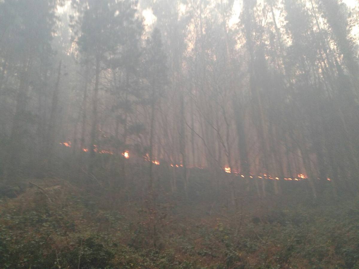 Incendios forestales en Asturias